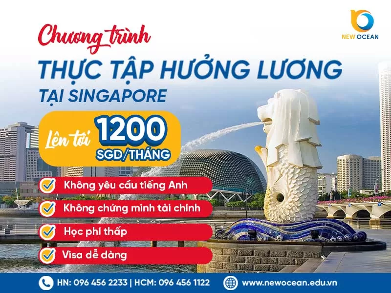 Chương Trình Thực Tập Singapore – Cơ Hội Học Tập Và Làm Việc Quốc Tế Cho Giới Trẻ